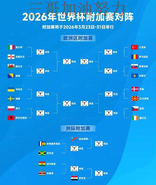 世界杯投注平台官网直达直播怎么看？全面分析给你答案（2026世界杯）